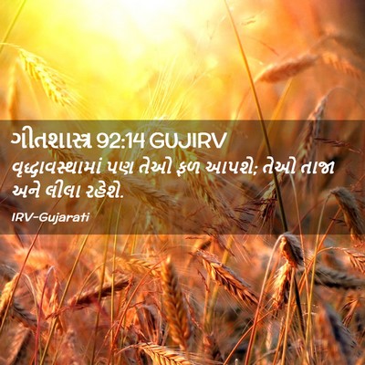 Picture 02 - ગીતશાસ્ત્ર 92:14 GUJIRV - વૃદ્ધાવસ્થામાં પણ - Bible Verse Picture