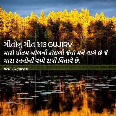 Picture 02 - ગીતોનું ગીત 1:13 GUJIRV - મારો પ્રીતમ બોળની - Bible Verse Picture