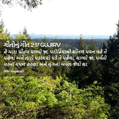 Picture 02 - ગીતોનું ગીત 2:17 GUJIRV - હે મારા પ્રીતમ - Bible Verse Picture