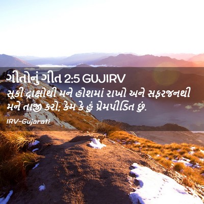Picture 02 - ગીતોનું ગીત 2:5 GUJIRV - સૂકી દ્રાક્ષોથી - Bible Verse Picture