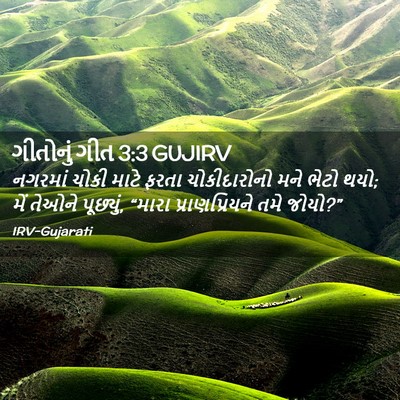 Picture 02 - ગીતોનું ગીત 3:3 GUJIRV - નગરમાં ચોકી માટે - Bible Verse Picture