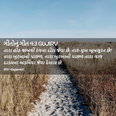 Picture 02 - ગીતોનું ગીત 4:3 GUJIRV - તારા હોઠ જાંબલી - Bible Verse Picture