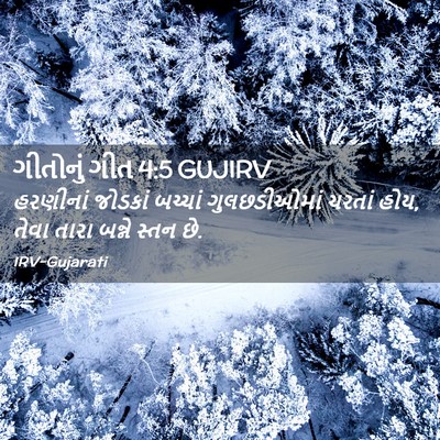 Picture 02 - ગીતોનું ગીત 4:5 GUJIRV - હરણીનાં જોડકાં - Bible Verse Picture