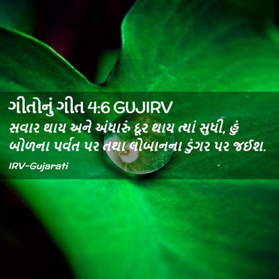 Picture 02 - ગીતોનું ગીત 4:6 GUJIRV - સવાર થાય અને - Bible Verse Picture