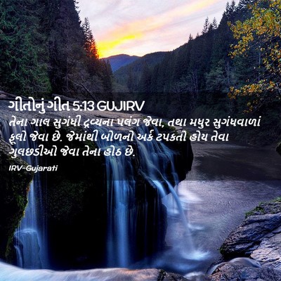 Picture 02 - ગીતોનું ગીત 5:13 GUJIRV - તેના ગાલ સુગંધી - Bible Verse Picture