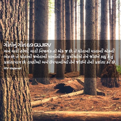 Picture 02 - ગીતોનું ગીત 6:9 GUJIRV - અને મારી હોલી, મારી - Bible Verse Picture
