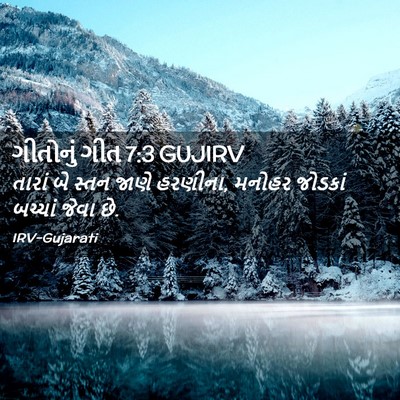 Picture 02 - ગીતોનું ગીત 7:3 GUJIRV - તારાં બે સ્તન જાણે - Bible Verse Picture
