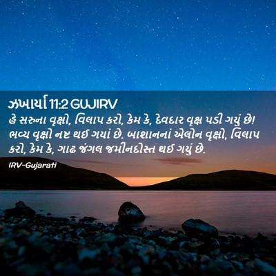 Picture 02 - ઝખાર્યા 11:2 GUJIRV - હે સરુના વૃક્ષો, - Bible Verse Picture