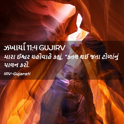 Picture 02 - ઝખાર્યા 11:4 GUJIRV - મારા ઈશ્વર - Bible Verse Picture