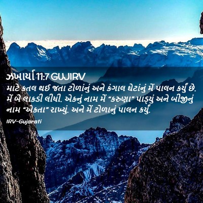 Picture 02 - ઝખાર્યા 11:7 GUJIRV - માટે કતલ થઈ જતા - Bible Verse Picture