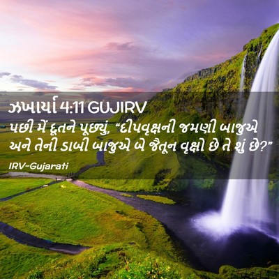 Picture 02 - ઝખાર્યા 4:11 GUJIRV - પછી મેં દૂતને - Bible Verse Picture