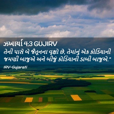 Picture 02 - ઝખાર્યા 4:3 GUJIRV - તેની પાસે બે - Bible Verse Picture