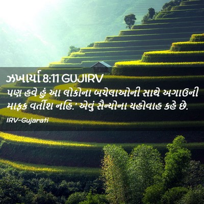 Picture 02 - ઝખાર્યા 8:11 GUJIRV - પણ હવે હું આ લોકોના - Bible Verse Picture
