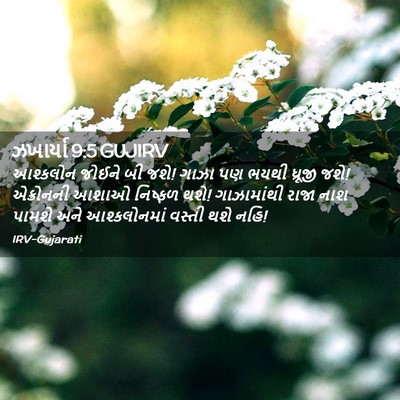 Picture 02 - ઝખાર્યા 9:5 GUJIRV - આશ્કલોન જોઈને બી - Bible Verse Picture