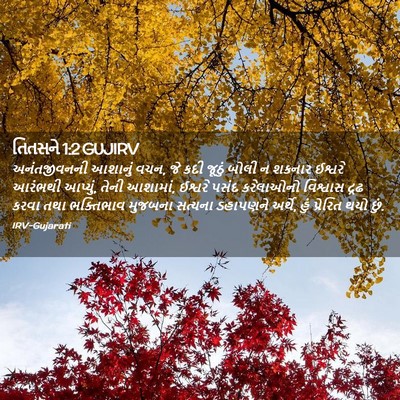 Picture 02 - તિતસને 1:2 GUJIRV - અનંતજીવનની આશાનું - Bible Verse Picture