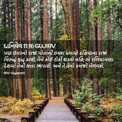 Picture 02 - દાનિયેલ 11:16 GUJIRV - પણ ઉત્તરનો રાજા - Bible Verse Picture