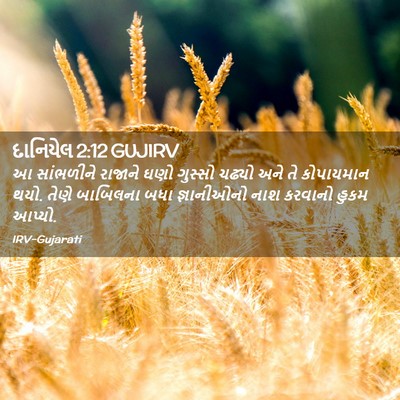 Picture 02 - દાનિયેલ 2:12 GUJIRV - આ સાંભળીને રાજાને - Bible Verse Picture