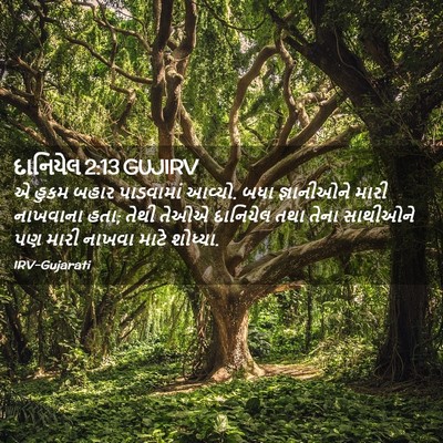 Picture 02 - દાનિયેલ 2:13 GUJIRV - એ હુકમ બહાર - Bible Verse Picture