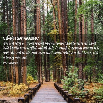 Picture 02 - દાનિયેલ 2:41 GUJIRV - જેમ તમે જોયું કે, - Bible Verse Picture