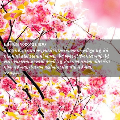 Picture 02 - દાનિયેલ 4:33 GUJIRV - તે જ સમયે આ વચન - Bible Verse Picture