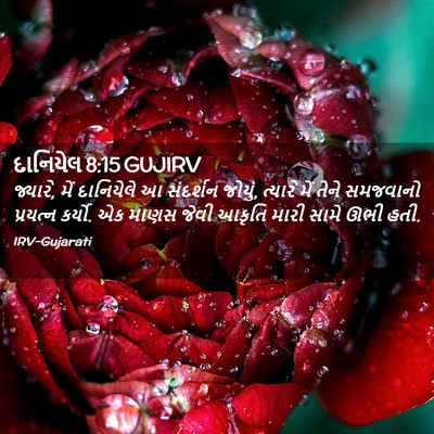 Picture 02 - દાનિયેલ 8:15 GUJIRV - જ્યારે, મેં - Bible Verse Picture