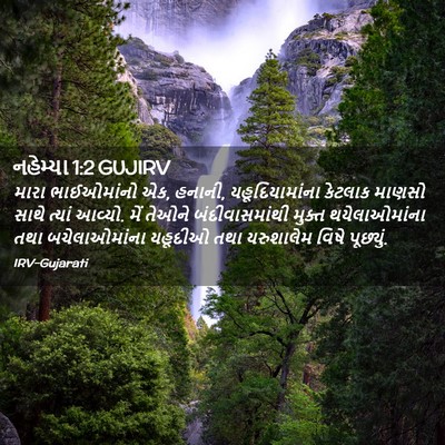 Picture 02 - નહેમ્યા 1:2 GUJIRV - મારા ભાઈઓમાંનો એક, - Bible Verse Picture