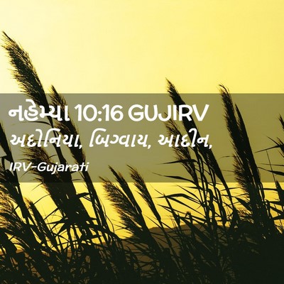 Picture 02 - નહેમ્યા 10:16 GUJIRV - અદોનિયા, બિગ્વાય, - Bible Verse Picture