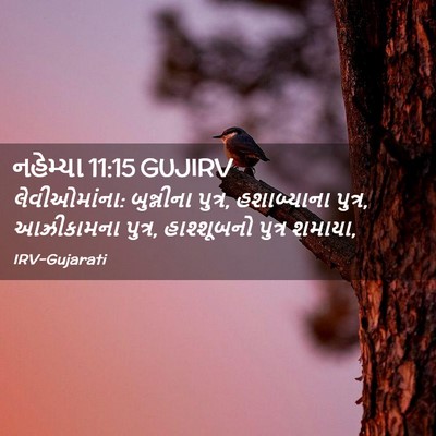 Picture 02 - નહેમ્યા 11:15 GUJIRV - લેવીઓમાંના: - Bible Verse Picture
