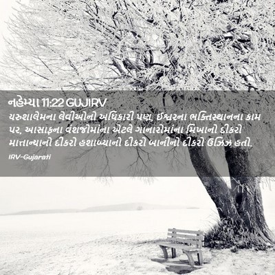Picture 02 - નહેમ્યા 11:22 GUJIRV - યરુશાલેમના - Bible Verse Picture