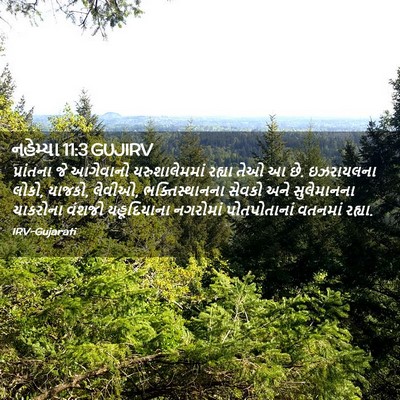 Picture 02 - નહેમ્યા 11:3 GUJIRV - પ્રાંતના જે - Bible Verse Picture