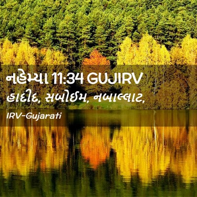 Picture 02 - નહેમ્યા 11:34 GUJIRV - હાદીદ, સબોઈમ, - Bible Verse Picture