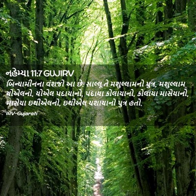 Picture 02 - નહેમ્યા 11:7 GUJIRV - બિન્યામીનના વંશજો - Bible Verse Picture