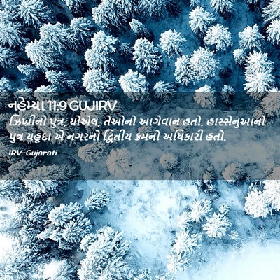 Picture 02 - નહેમ્યા 11:9 GUJIRV - ઝિખ્રીનો પુત્ર, - Bible Verse Picture