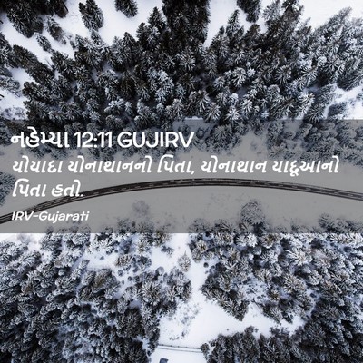 Picture 02 - નહેમ્યા 12:11 GUJIRV - યોયાદા યોનાથાનનો - Bible Verse Picture