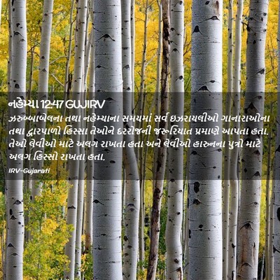 Picture 02 - નહેમ્યા 12:47 GUJIRV - ઝરુબ્બાબેલના તથા - Bible Verse Picture