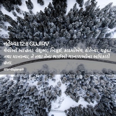 Picture 02 - નહેમ્યા 12:8 GUJIRV - લેવીઓ આ હતા: યેશૂઆ, - Bible Verse Picture