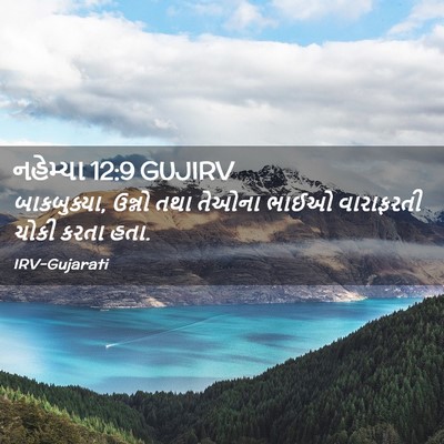 Picture 02 - નહેમ્યા 12:9 GUJIRV - બાકબુક્યા, ઉન્નો - Bible Verse Picture