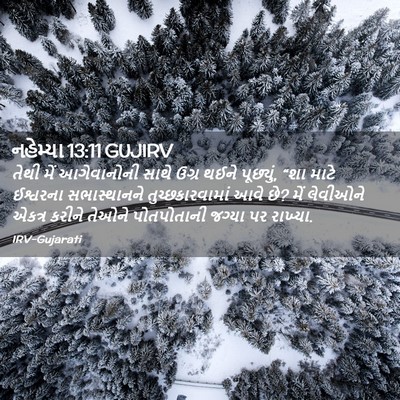 Picture 02 - નહેમ્યા 13:11 GUJIRV - તેથી મેં - Bible Verse Picture