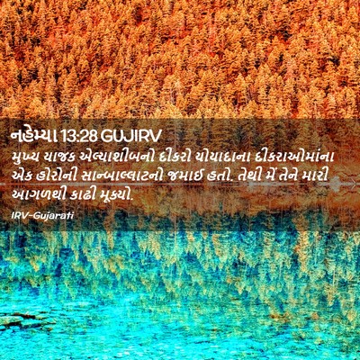 Picture 02 - નહેમ્યા 13:28 GUJIRV - મુખ્ય યાજક - Bible Verse Picture