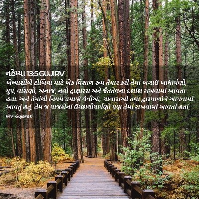Picture 02 - નહેમ્યા 13:5 GUJIRV - એલ્યાશીબે ટોબિયા - Bible Verse Picture