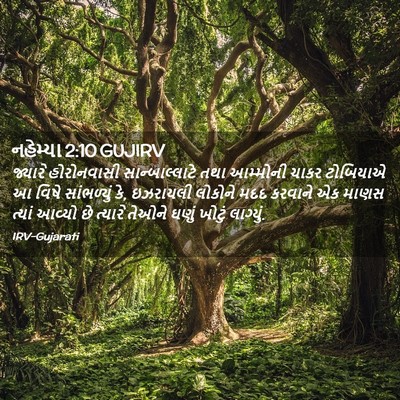 Picture 02 - નહેમ્યા 2:10 GUJIRV - જ્યારે હોરોનવાસી - Bible Verse Picture
