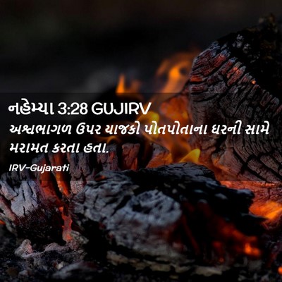 Picture 02 - નહેમ્યા 3:28 GUJIRV - અશ્વભાગળ ઉપર - Bible Verse Picture