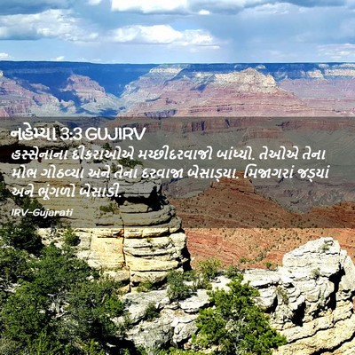 Picture 02 - નહેમ્યા 3:3 GUJIRV - હસ્સેનાના દીકરાઓએ - Bible Verse Picture