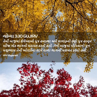 Picture 02 - નહેમ્યા 3:30 GUJIRV - તેની બાજુમાં - Bible Verse Picture