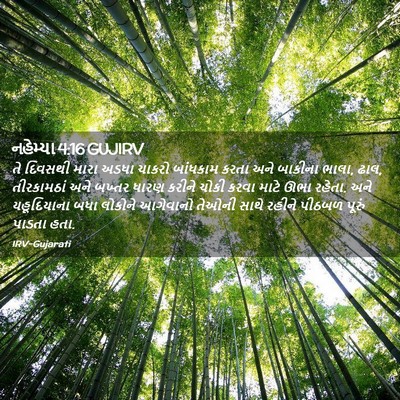Picture 02 - નહેમ્યા 4:16 GUJIRV - તે દિવસથી મારા - Bible Verse Picture