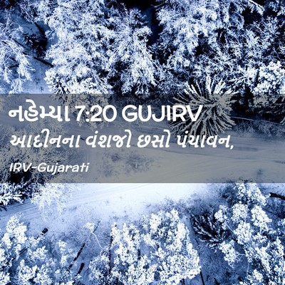 Picture 02 - નહેમ્યા 7:20 GUJIRV - આદીનના વંશજો છસો - Bible Verse Picture