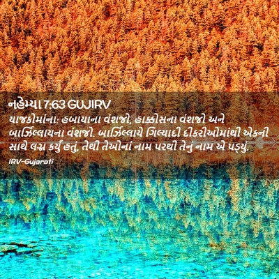 Picture 02 - નહેમ્યા 7:63 GUJIRV - યાજકોમાંના: - Bible Verse Picture