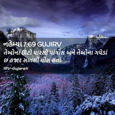 Picture 02 - નહેમ્યા 7:69 GUJIRV - તેઓનાં ઊંટો ચારસો - Bible Verse Picture