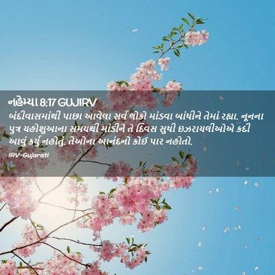 Picture 02 - નહેમ્યા 8:17 GUJIRV - બંદીવાસમાંથી પાછા - Bible Verse Picture