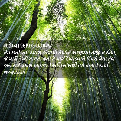 Picture 02 - નહેમ્યા 9:19 GUJIRV - તેમ છતાં, તમે દયાળુ - Bible Verse Picture